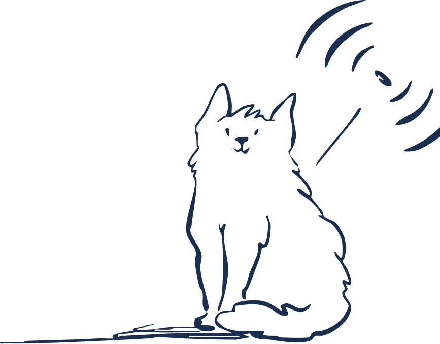 Your pet's best chance of coming home