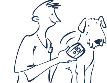 Animal professional