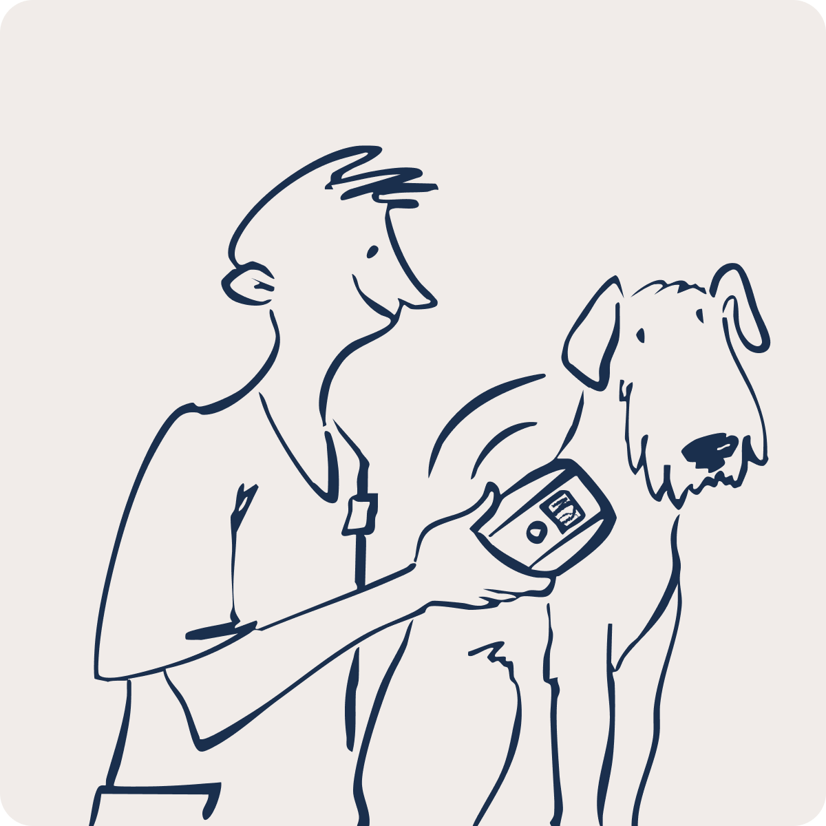 Your pet's best chance of coming home