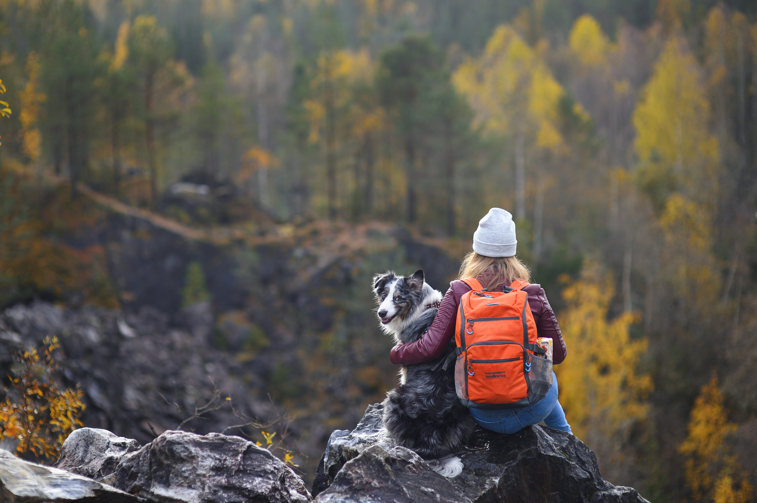How to Ensure Your Dog is Safe During Hikes and Outdoor Adventures