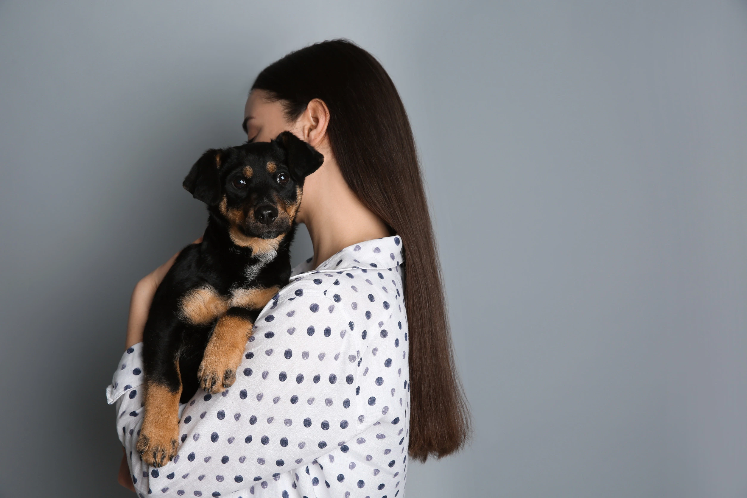 Guide to Buying & Caring for Your Puppy