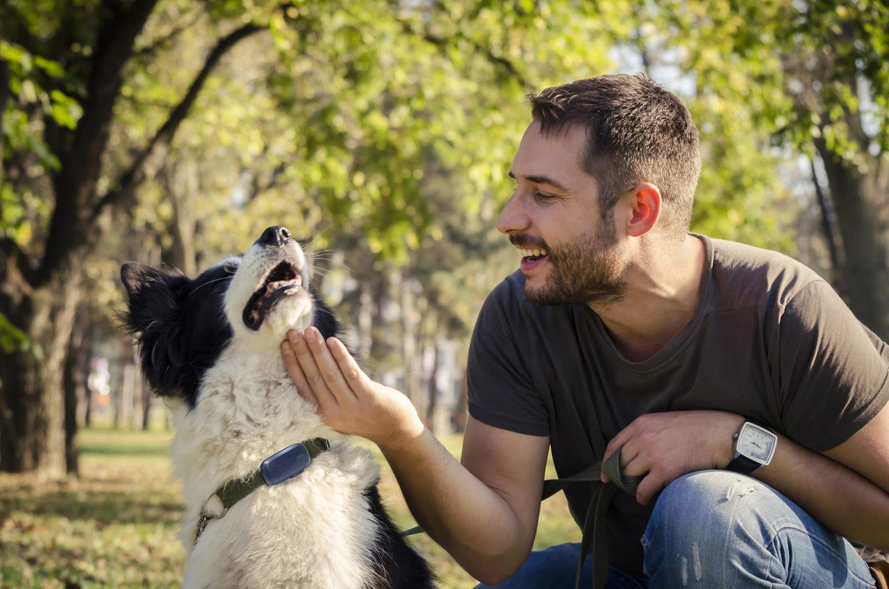 Microchips vs. GPS Tracking: Keeping your Furry Friend Safe