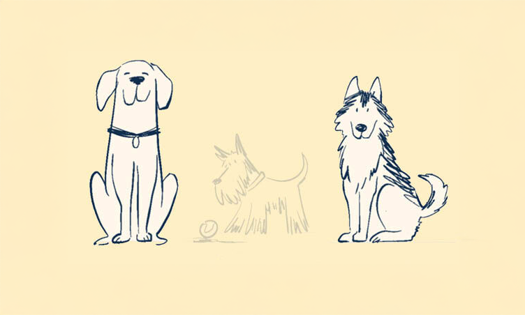 1 in 3 pets go missing: Why GPS tracking is a game-changer