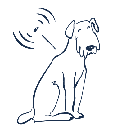 GPS vs Microchip vs Bluetooth: Your complete pet tracking technology guide