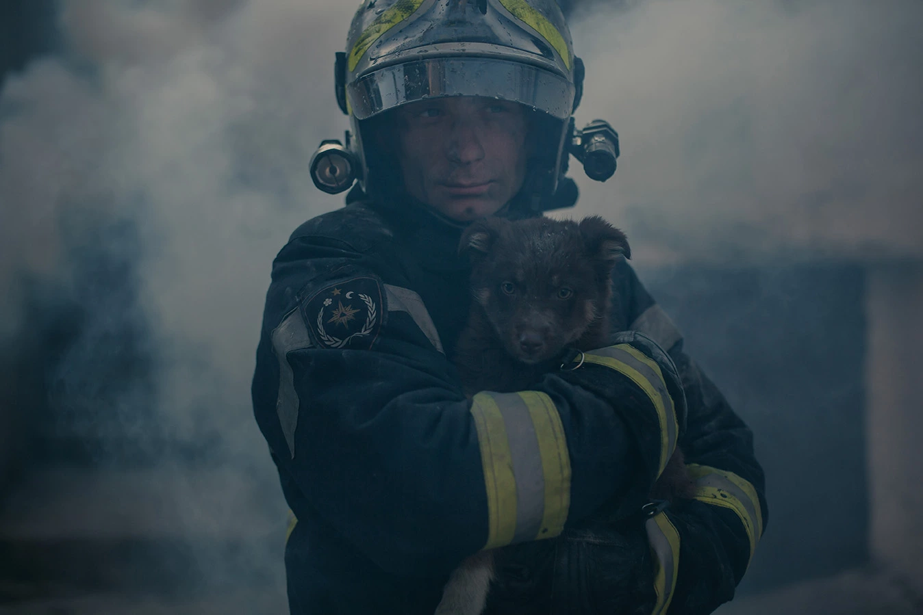 September is Preparedness Month: Be ready to protect your pet in any emergency with PetLink