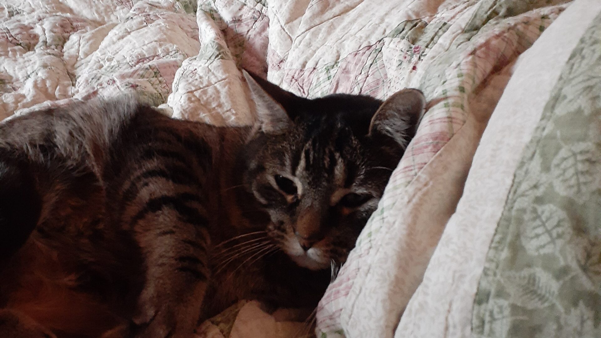 She’s back home once again!