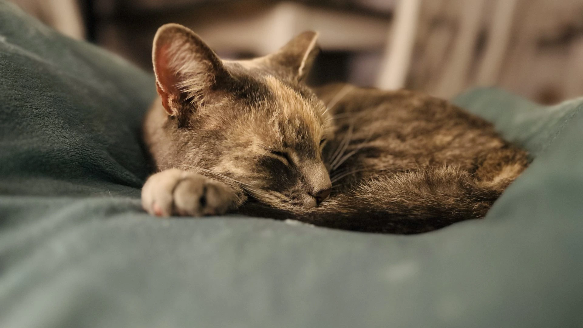 Reunited After 2 Months!!