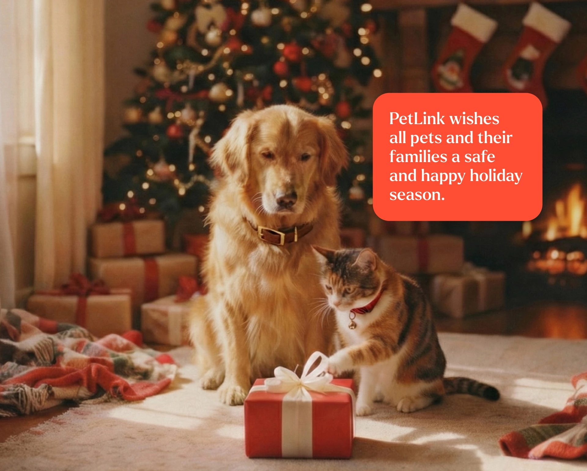 PetLink Christmas