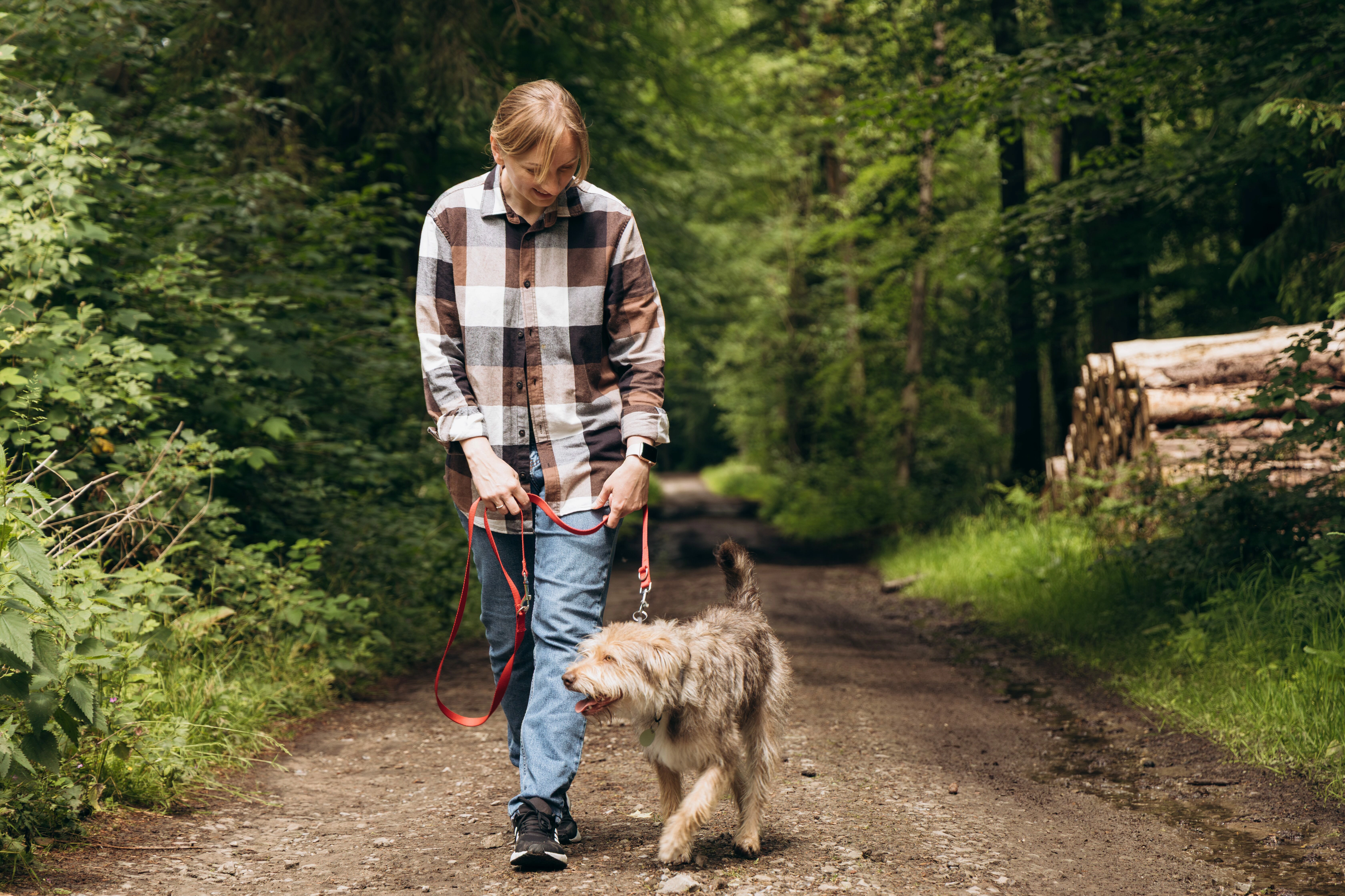 Five training tips for the new dog parent from @adogslifewithlia