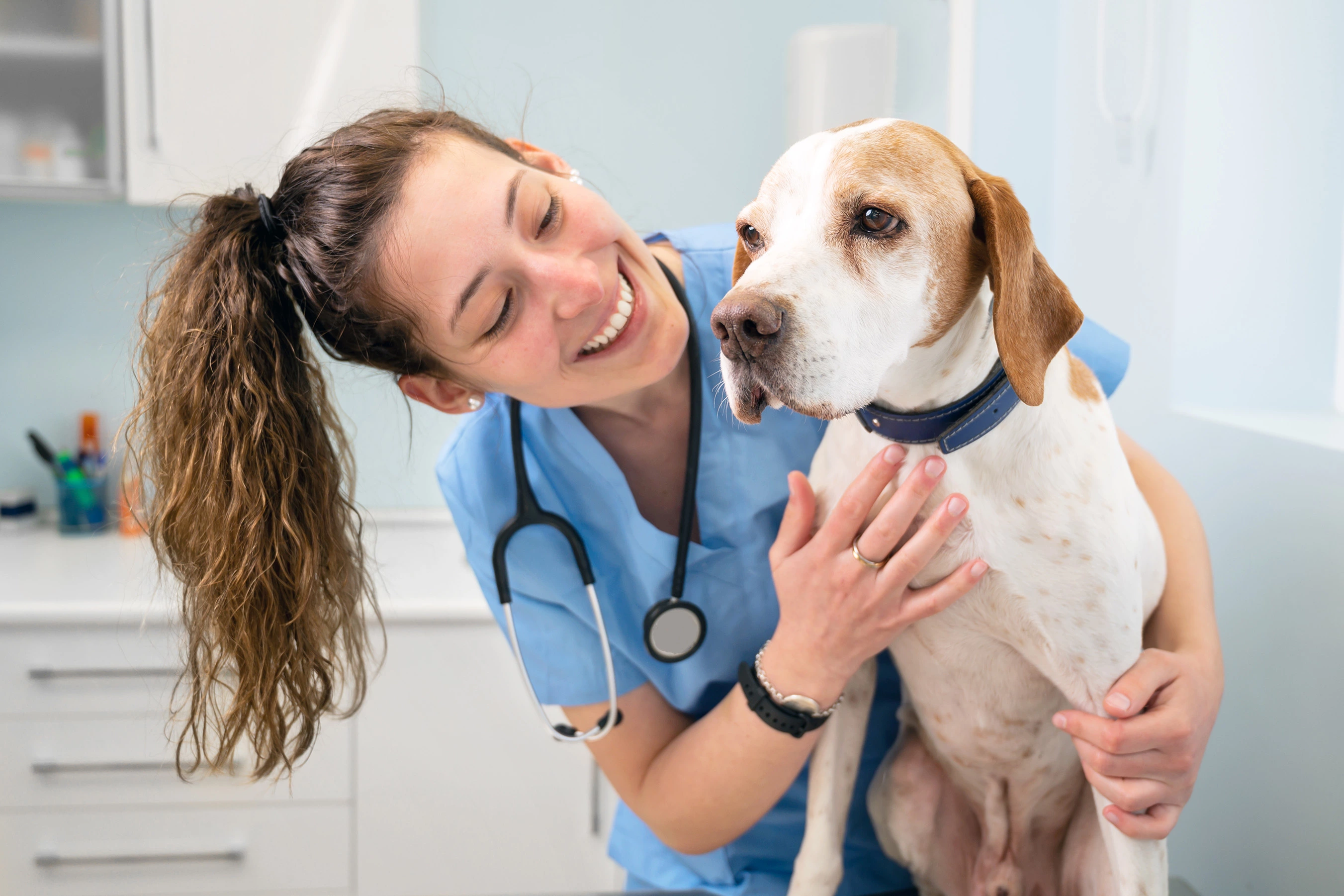 Microchip and GPS: You know the difference, some pet owners don’t!