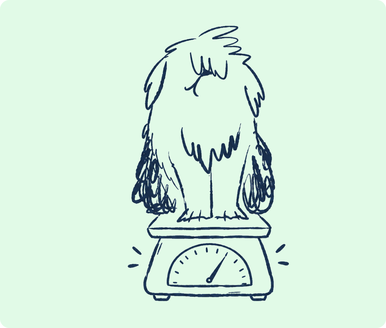 Is Your Pet a Healthy Weight?